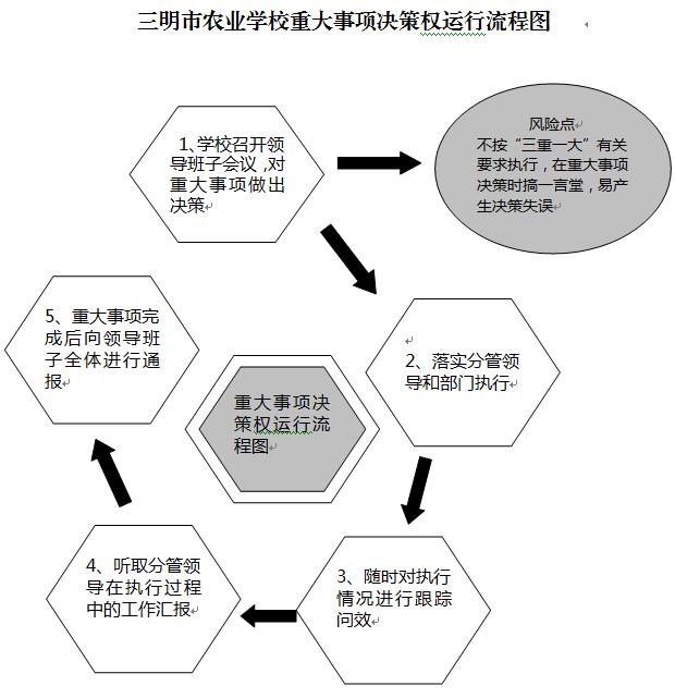 星空(xingkong)重大事项决策权运行流程图.JPG