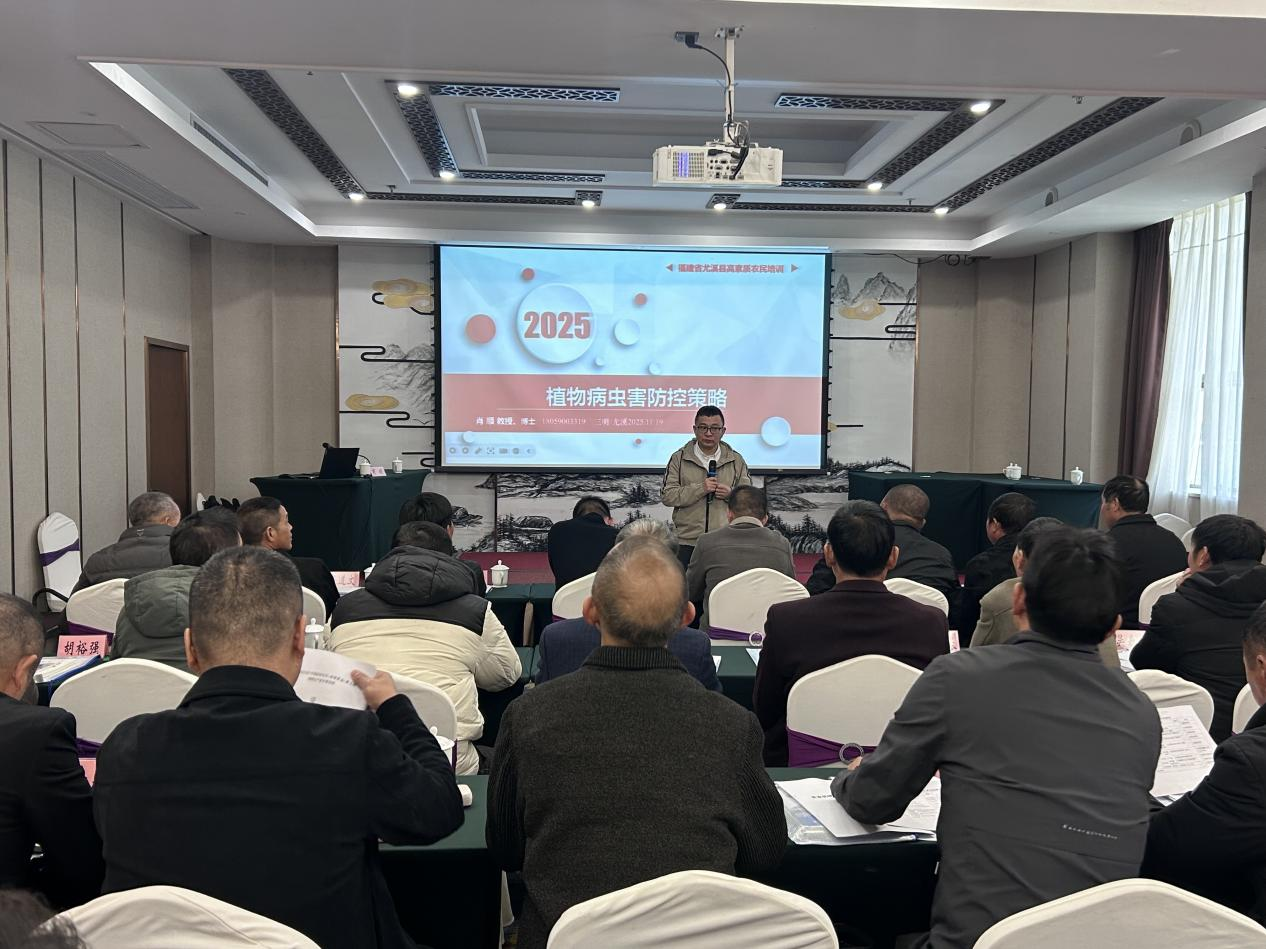 1764576946162284.png 1764576946162284.png