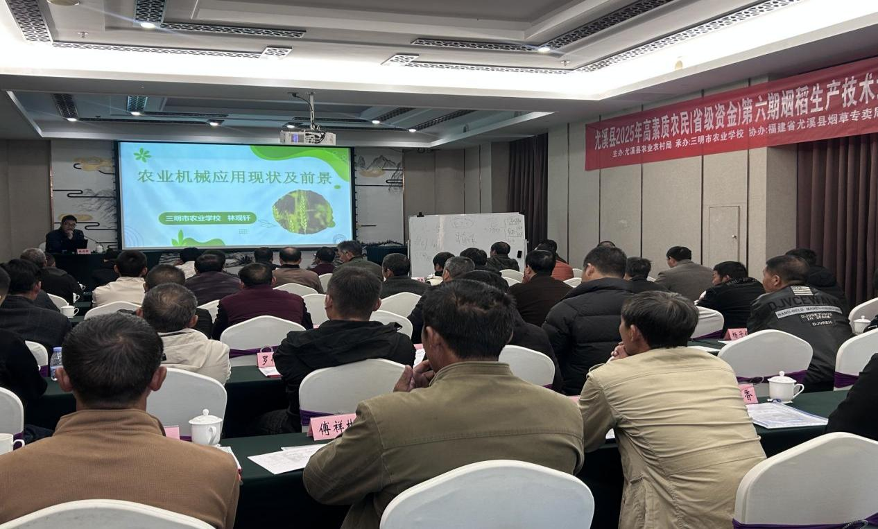 1764576959875353.png 1764576959875353.png