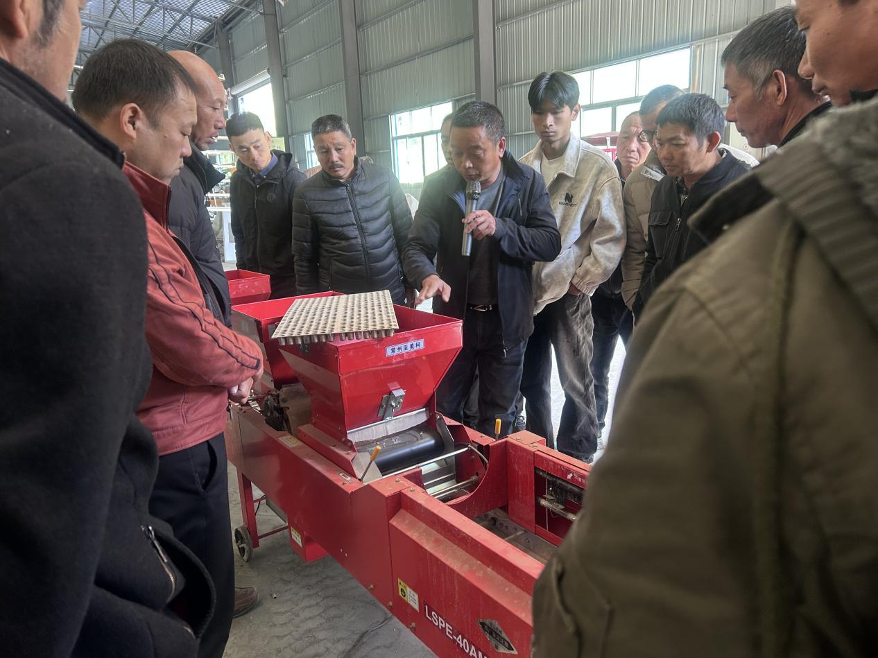 1764576972693931.png 1764576972693931.png