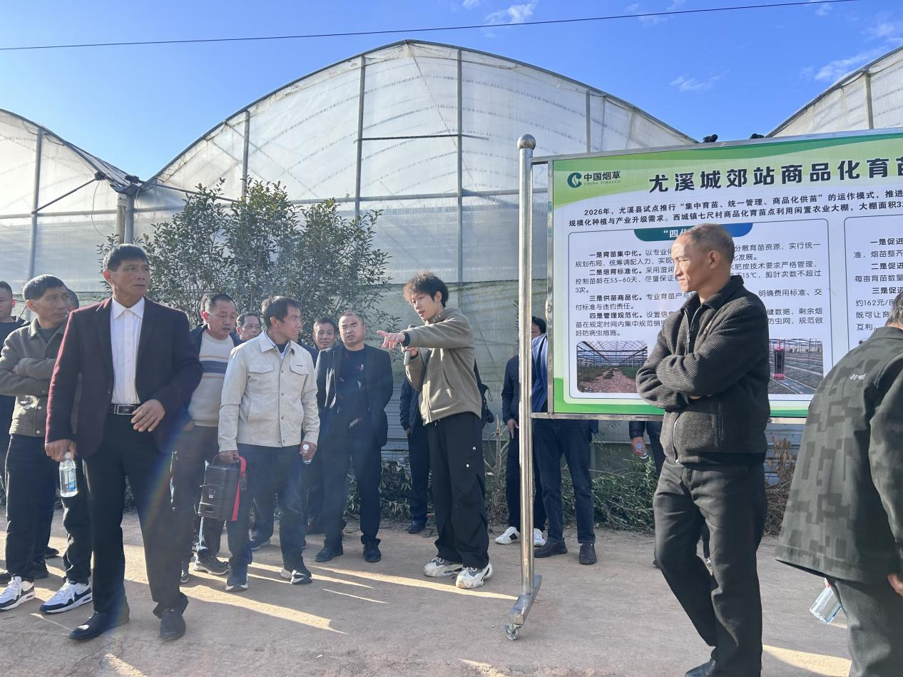 1764577001539539.png 1764577001539539.png