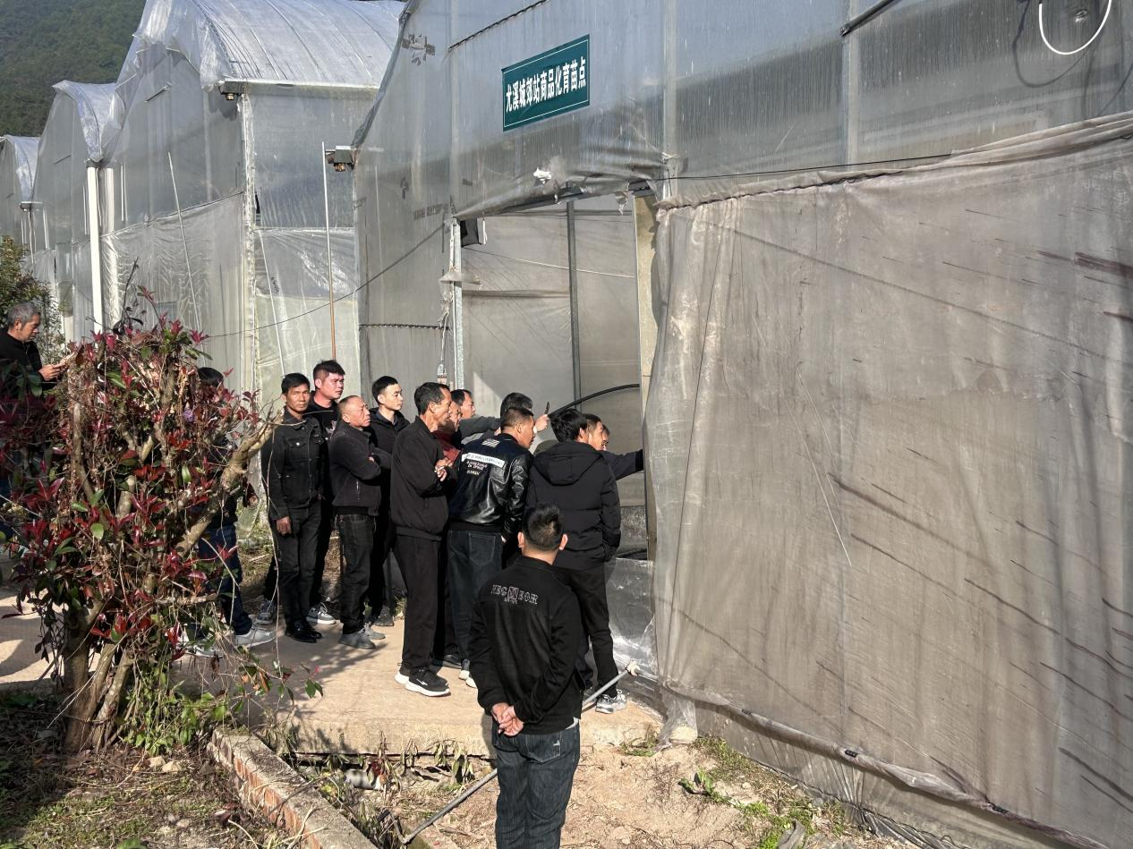 1764577018194164.png 1764577018194164.png