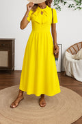 Solid Tie Neck Pleated Midi Dress